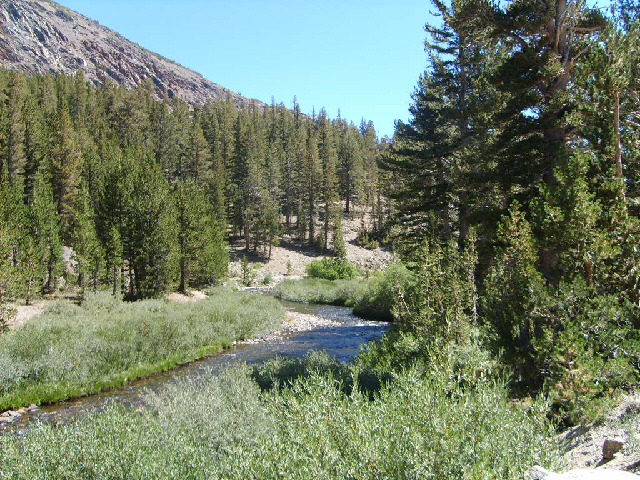 Scenery in the Sierra Nevada mountains.