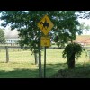 An equestrian crossing. I like it. It seems a funny tern to have coined though when Americans don't ...