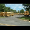 Part of a large yard full of school buses. I think the schools are on holiday now. What I've never r...