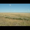 Still pretty flat. A little way back, there was a 'for sale' sign just beyond the fence. It looked l...