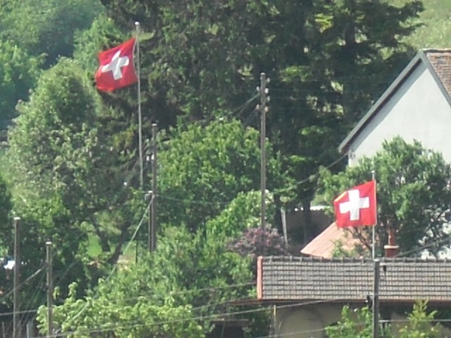 Swiss flags.