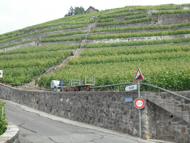 One of the little monorails for going up through the vineyards. You don't often hear about Swiss win...