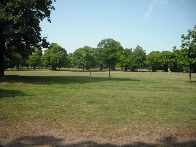 Greenwich park.