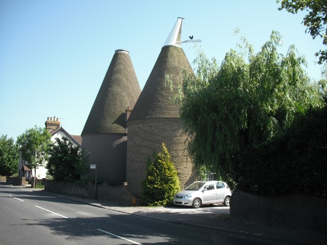 Oast houses, designed for drying hops. I'm not really sure what hops look like when they are growing...