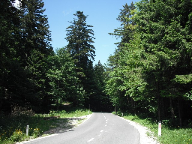 This is a lovely road. There was a big climb which took a couple of hours, but it's got a good surfa...