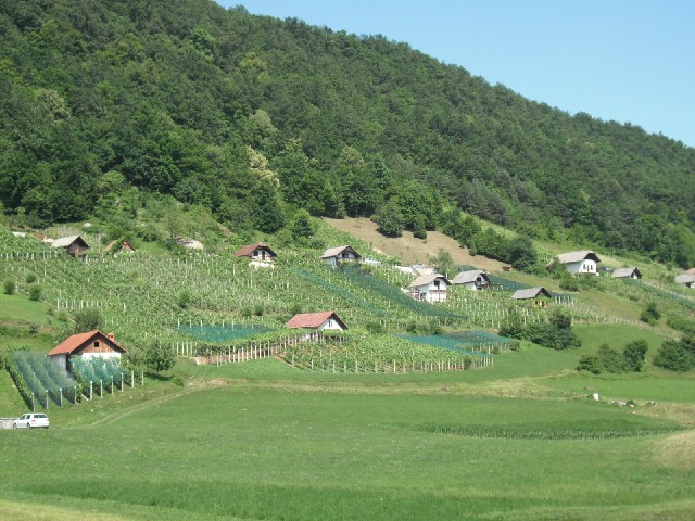 Scenery in the Krka valley.