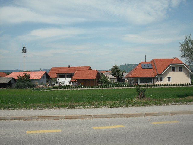 In this village, there seems to be a fashion for planting rows of tiny little trees. I suppose they'...