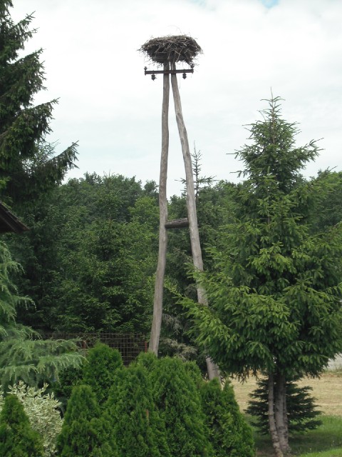 This is the first stork's nest I've seen on this trip. They are a common sight in eastern Europe.