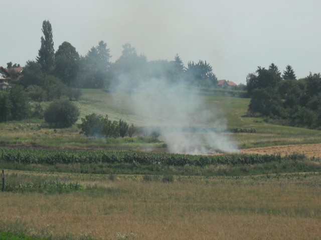 I passed several fields of burning stubble today. I'm not sure if this one was intentional though be...