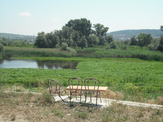 Today's route would pass a lot of marshy ponds like this. Somebody obviously thought this one was wo...