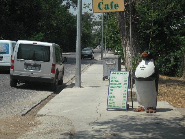 Here is a nice shady avenue with a few busy cafs. The day is already getting pretty hot.