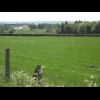 Cars on the M40 motorway glinting in the sun. It's a lovely warm day today. On the horizon is the St...