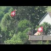 Swiss flags.