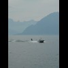 Somebody waterskiing on Lake Geneva.