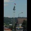 The Slovenian flag. Trees like this are common in Germany but this is the first one I've seen on thi...