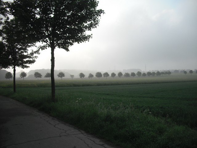 This isn't rain today, it's just some picturesque morning mist. I think it could turn out to be quit...