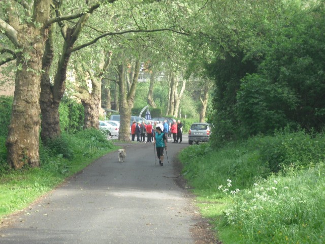 This particular area seemed to be very popular with dog-walkers and very slow joggers.