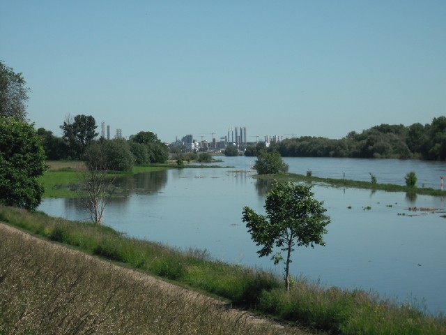 A factory by the Elbe.