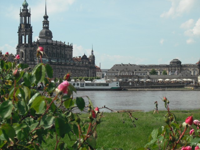 Dresden with flowers.