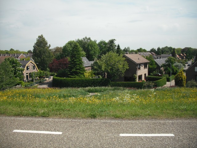 For quite a long way, my road runs along the top of the polder, the river's flood defence. It gives ...