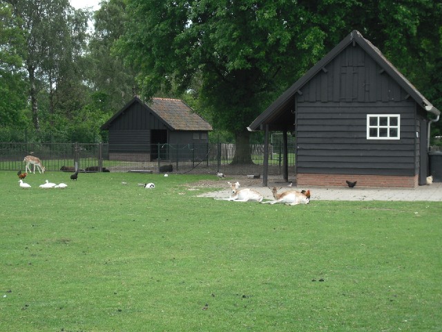 I have passed quite a few enclosure like this. Some are in the gardens of houses but this one was op...