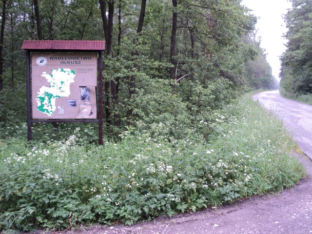 As I noticed in 2006, it seems to be quite common in Poland for  information boards to be put where ...