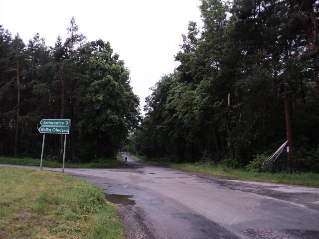 There's only one sign at this junction. It tells me where I've been but not where I'm going.