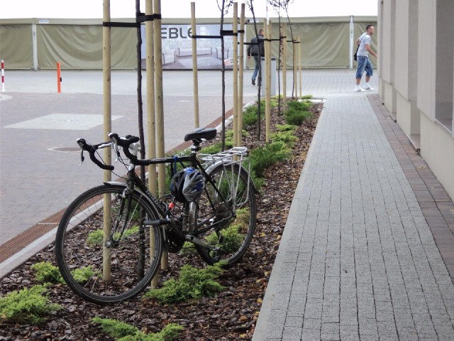 I had some trouble at the hotel here. I had started locking my bike to one of these trees when a man...