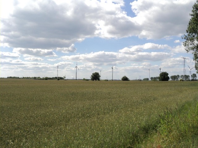 A view from the same place but in a different direction.