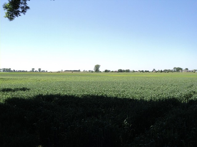 More scenery. This is good weather. It's sunny without being too hot, with a slight following wind. ...