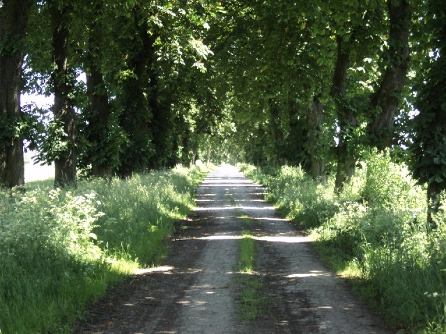 I've had all sorts of roads today: urban roads, four-lane dual carriageways with light traffic and a...