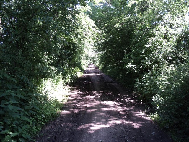 This section was a little bit muddier but still perfectly passable.