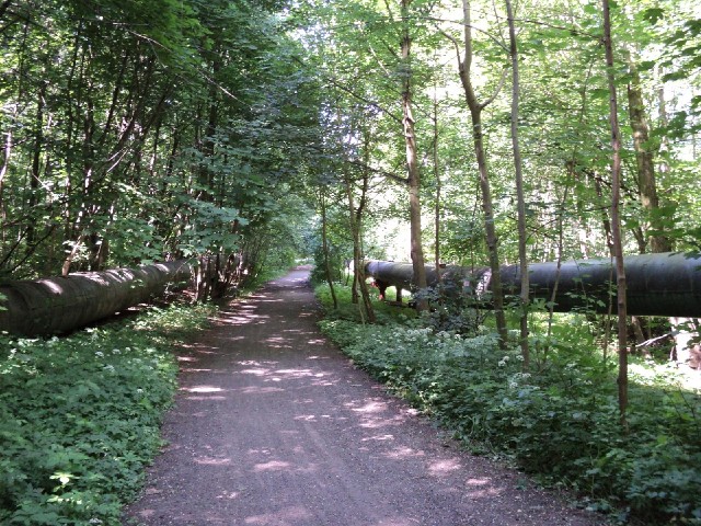 This isn't a road. It's a path through a park approaching the city of Poznan. Bikes are allowed top ...