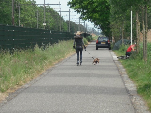 This woman was employing what I regard as the Norwegian technique of getting her dog to pull her alo...