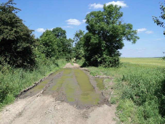 I don't really understand why patches of this track are so boggy when the rest is completely dry.