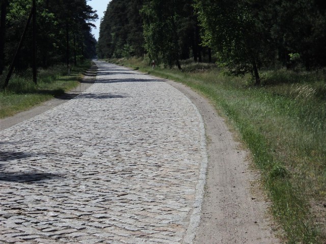This is the start of one of this afternoon's two cobbled sections, each several kilometres long. Whe...