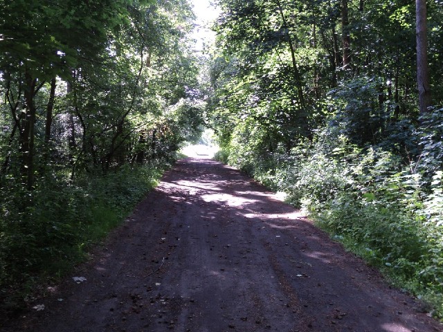 I couldn't find any signs for the road which I wanted to take out of Stargard so I just went for the...