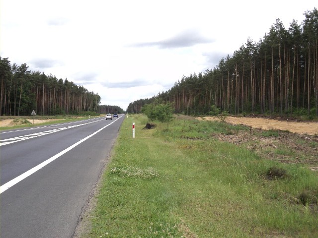 This is route 3, which I followed for a few kilometres here and for a longer stretch later on. It's ...