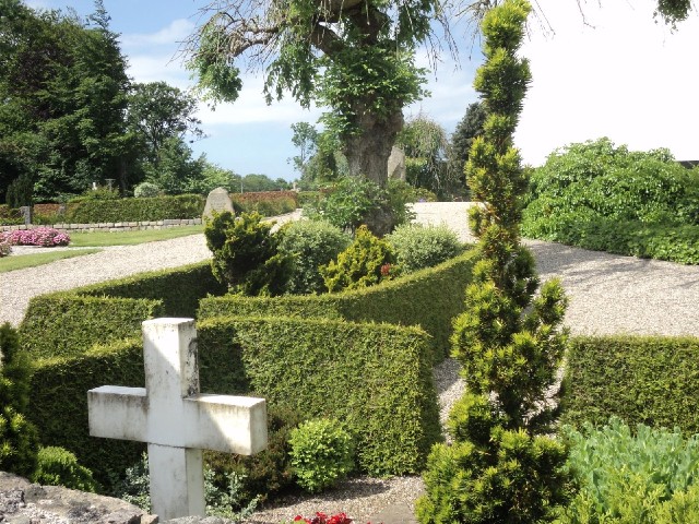 Danish churchyards seem to be very neat, with a little hedge like this around each family's grave pl...