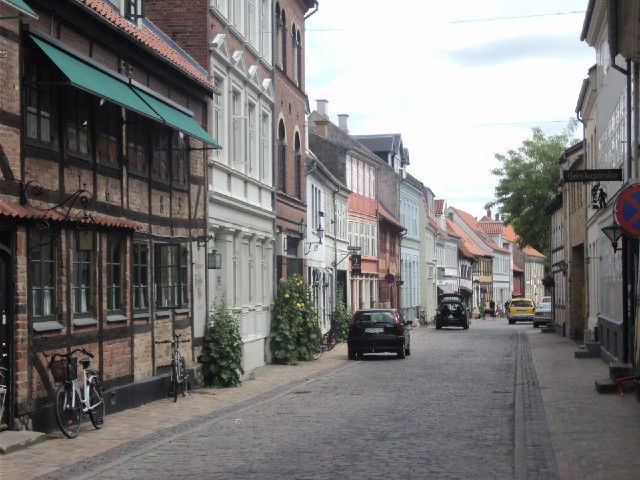 Nedergard, one of Odense's central streets.