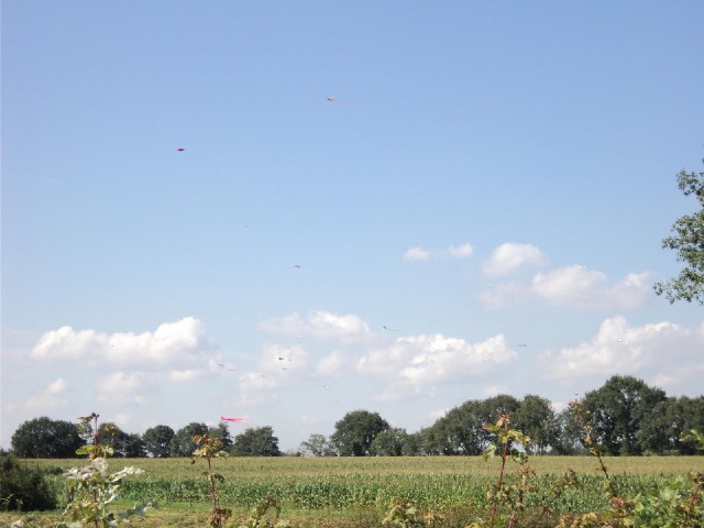 It's hard to see but this is a whole load of kites being flown from a field. I didn't get any closer...