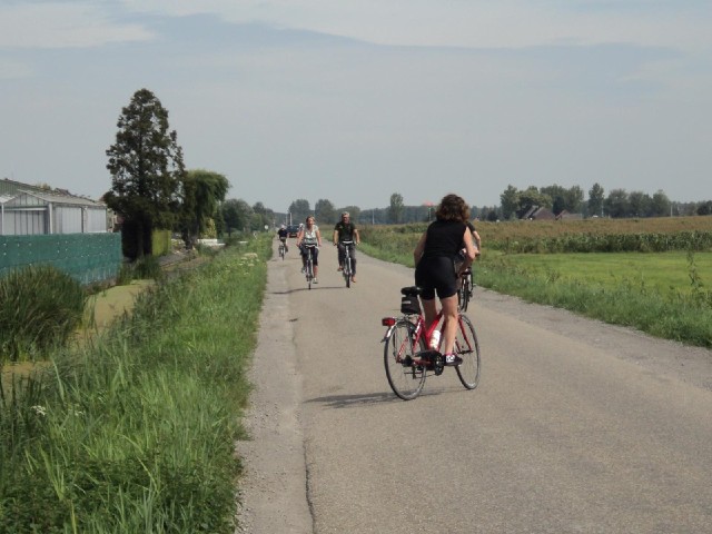 This road is mainly used by cyclists.