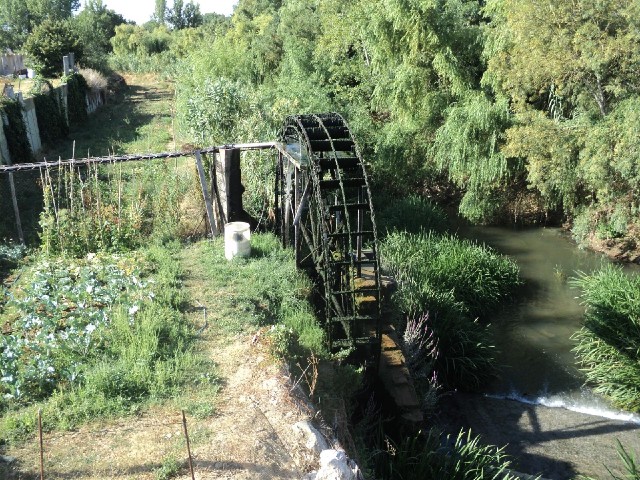 A noria, a water wheel which lifts water into the pipe which runs off to the left.