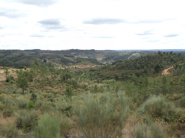 Another view. The line just below the horizon is the motorway.