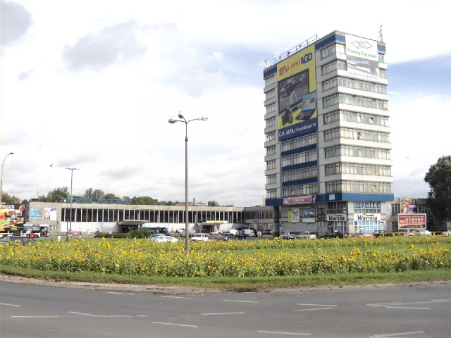 Sunflowers in front of Olsztyn Station.