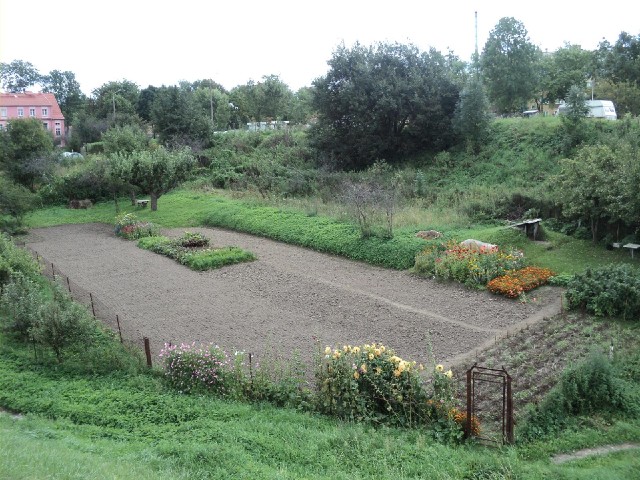 A neat but rather empty-looking garden.
