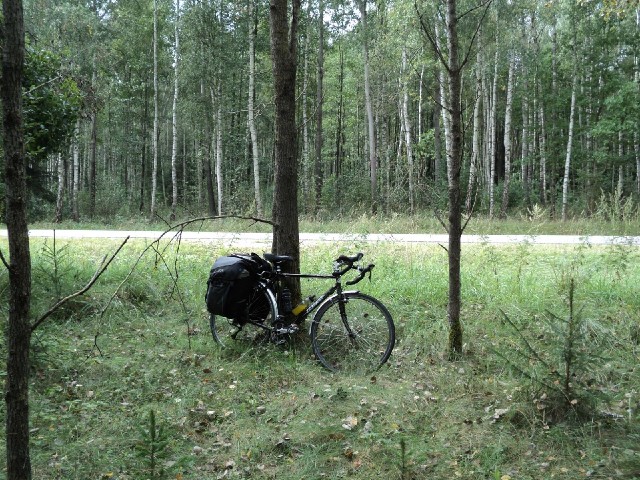 My bike at a rest stop.