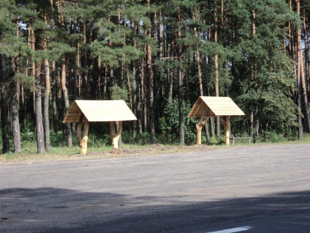 Two shelters in a roadside rest area. I like how the supports are whole sections of trees.