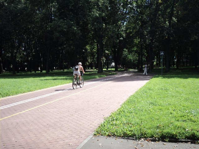 A proper cycle lane marked through the park. It has yellow lines painted along the sides so I suppos...