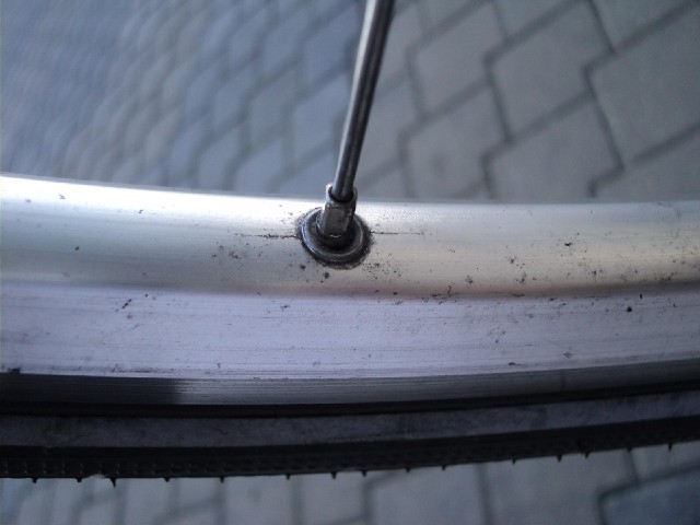 Now I've got something else to worry about. I've just noticed these little cracks appearing on my wh...